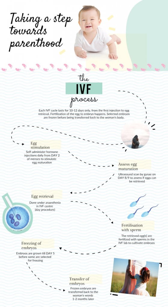 The IVF Process in Singapore Women's Health Clinic