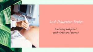 Second Trimester Checkup